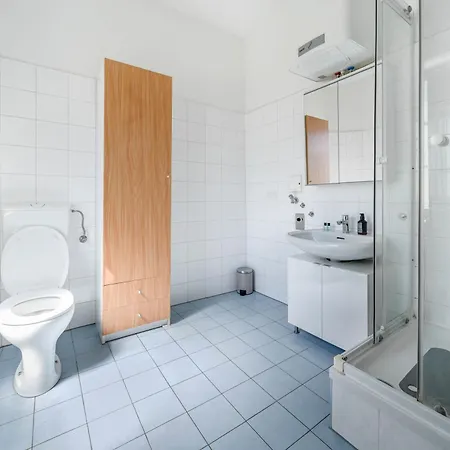 Lägenhet 1-zimmer-apartment, 18 Min Altstadt, Smart Tv Graz